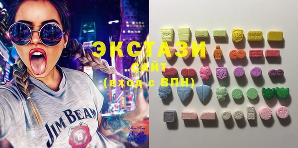 ECSTASY Алзамай