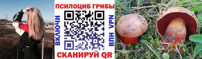 купить наркоту  Междуреченск  Галлюциногенные грибы Psilocybine cubensis 